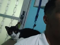 andromedazc offline chatrum