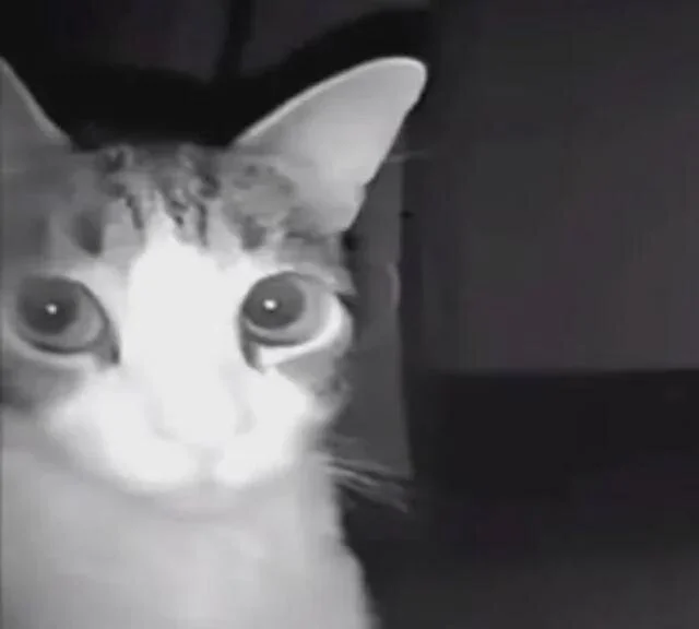 Chat +18 off-line de chubbygamer26