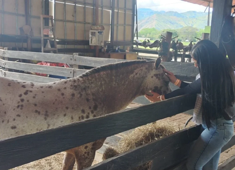 MIIA_JHONSn Offline XXX chat