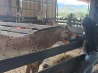 MIIA_JHONS's webcam live show