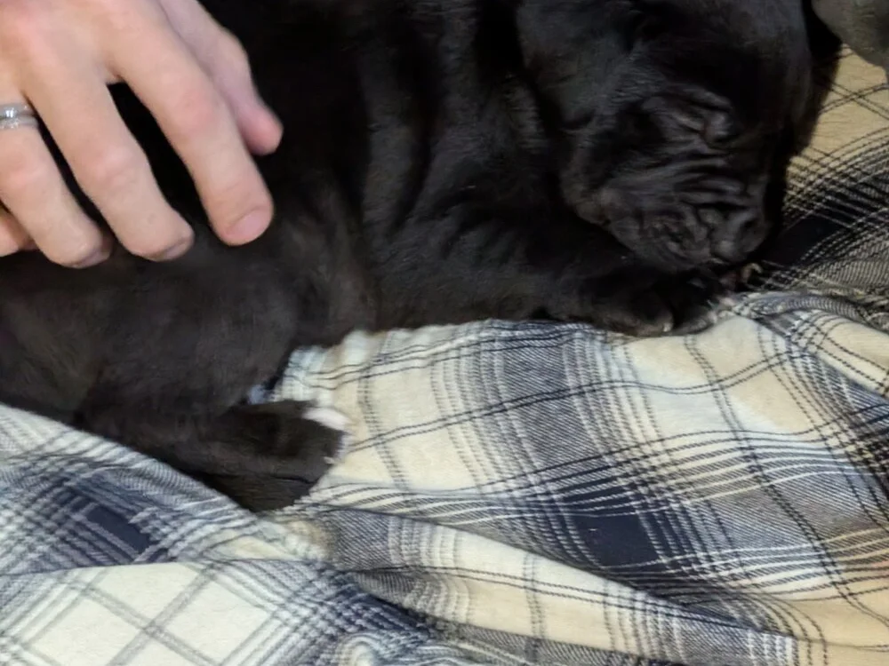 spudgunn70's Offline XXX Chat