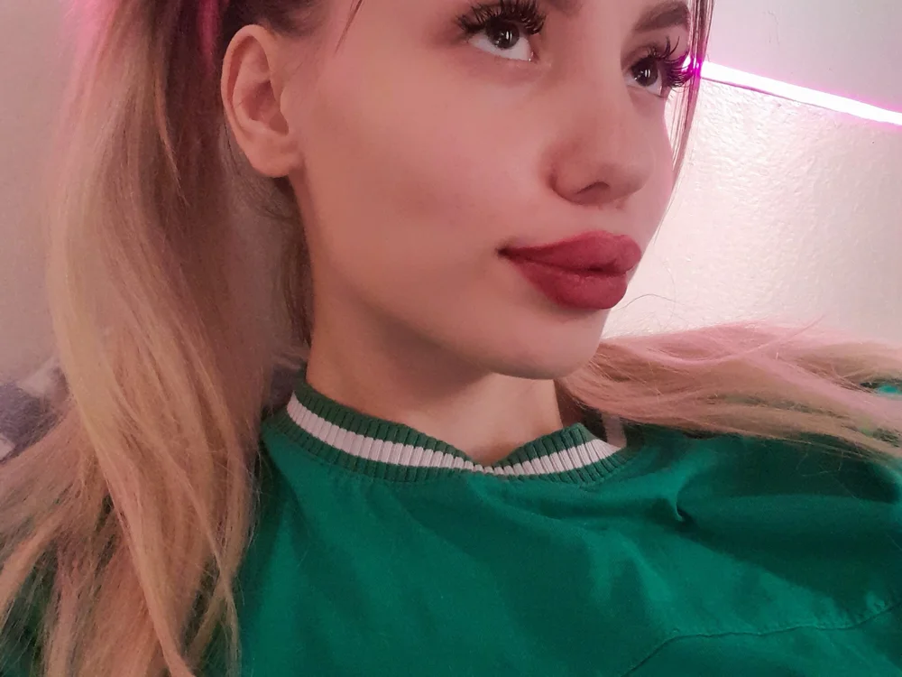 StellaOops offline XXX-chatje