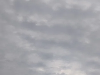 TopCuteChub