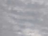TopCuteChub