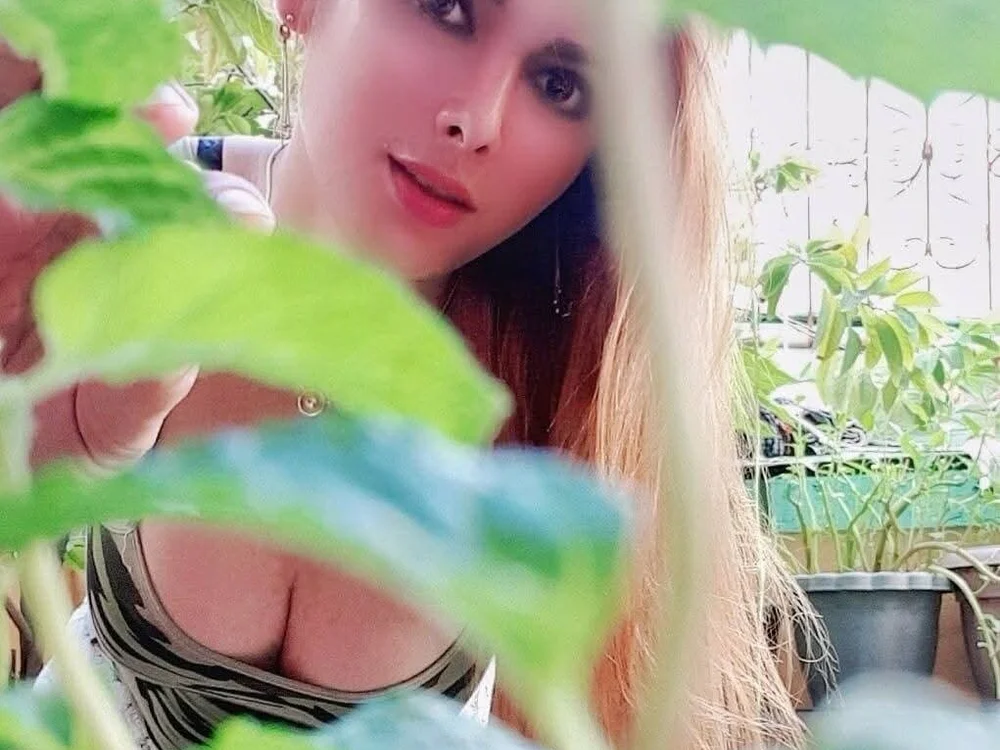 Hara_Durye 离线XXX聊天