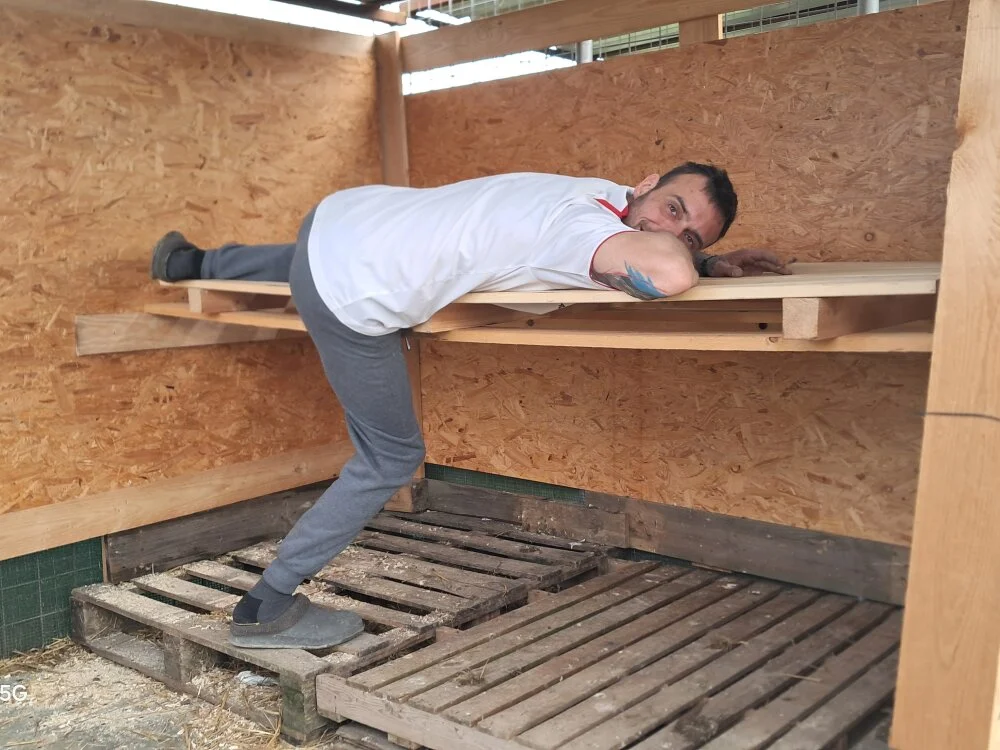 pedrocore89 offline XXX-chat