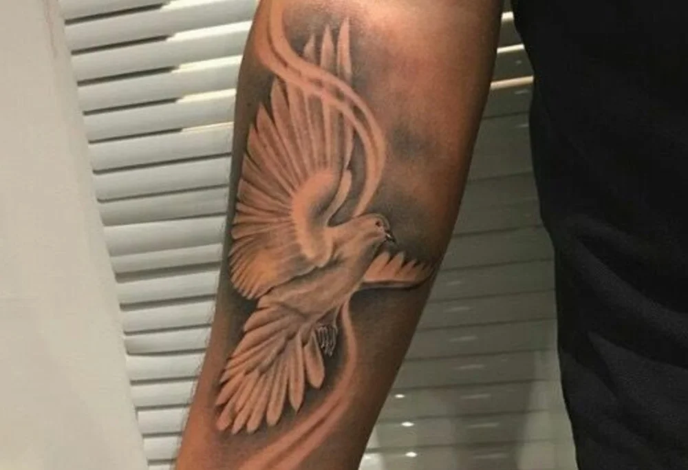 Chat XXX offline de transariano2530