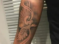 transariano2530's webcam live show