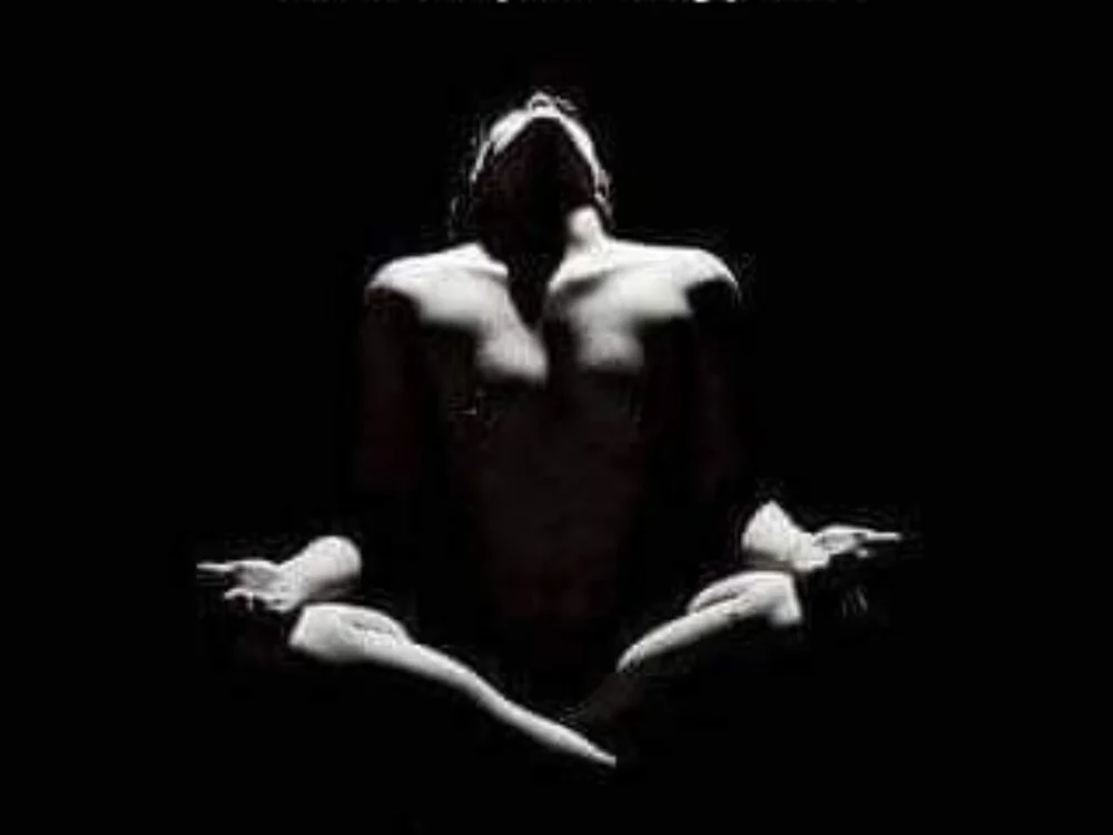 pafina 离线XXX聊天