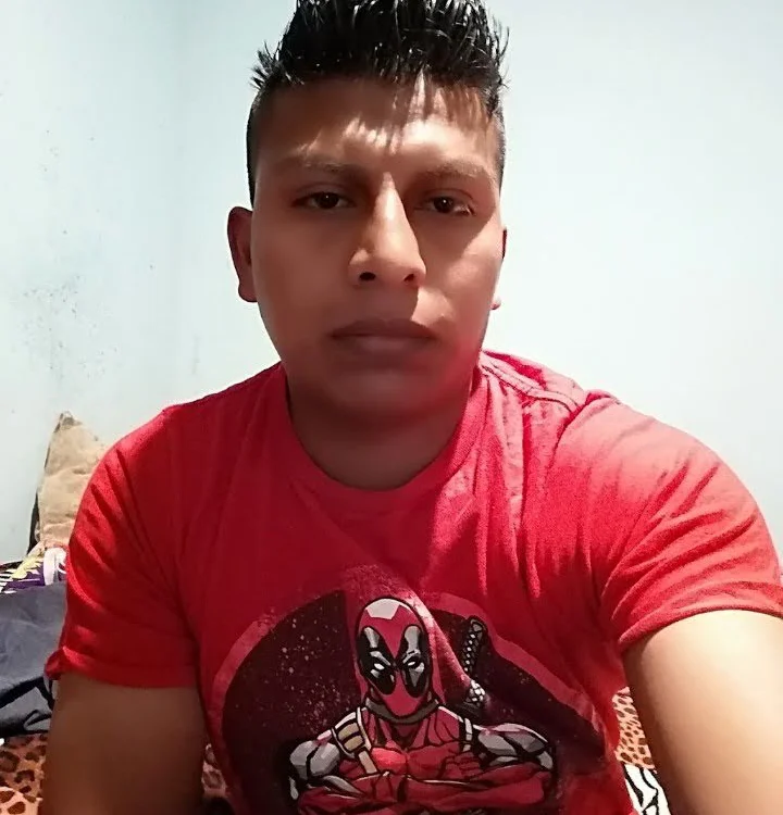 dino01z offline chatrum