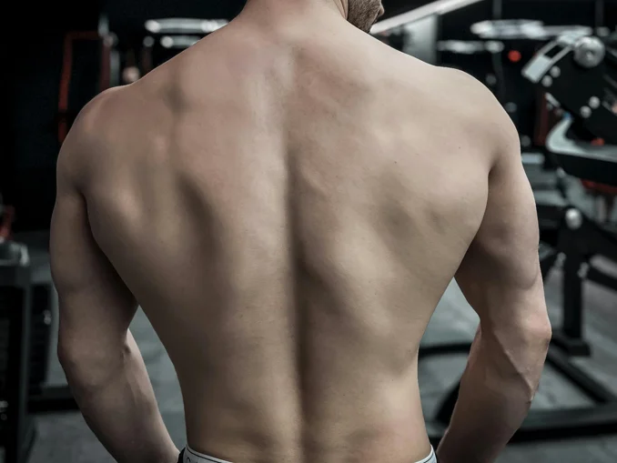 WondererBlue Chat XXX Ngoại tuyến