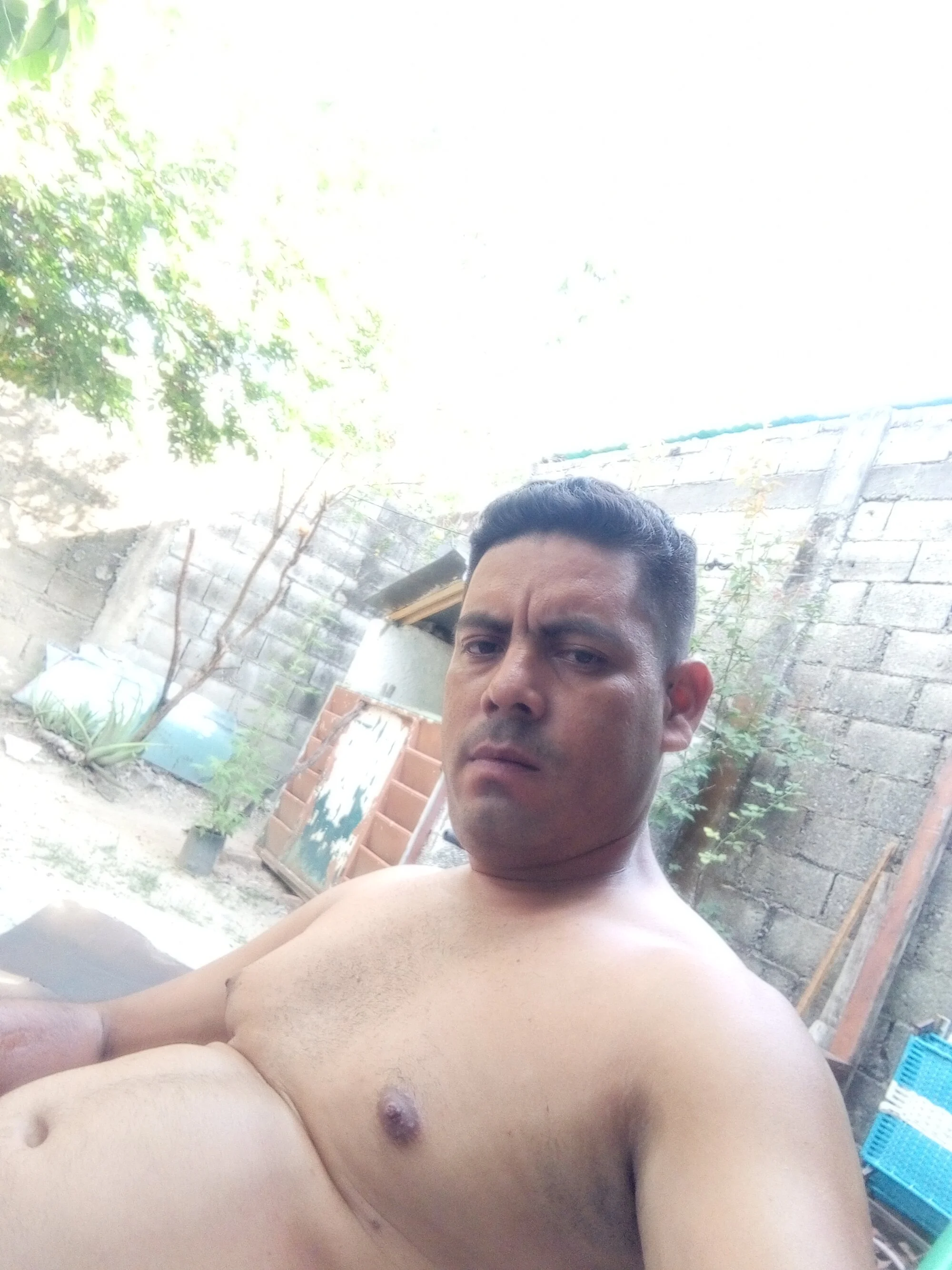 tonfrara04