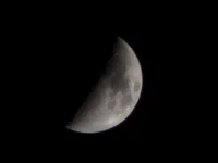 alrake2021 webcam