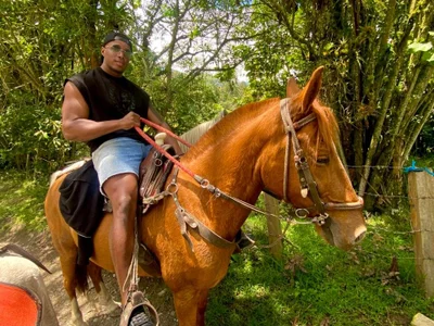 DIOSAFRICANO