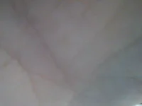 maja221010