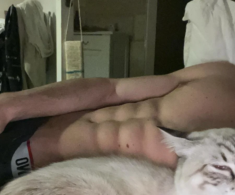 Czat XXX offline – TheItalianHorse