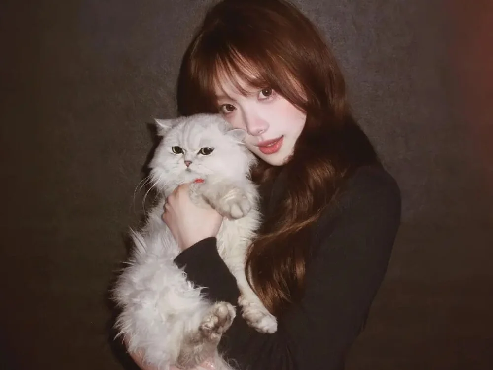 KK-328 Chat XXX Ngoại tuyến