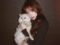 KK-328's webcam live show