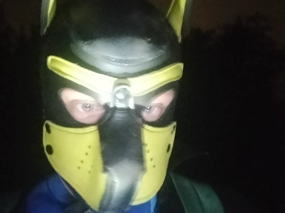 ArcticRubber1989 offline XXX-chat