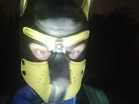 ArcticRubber1989's webcam live show