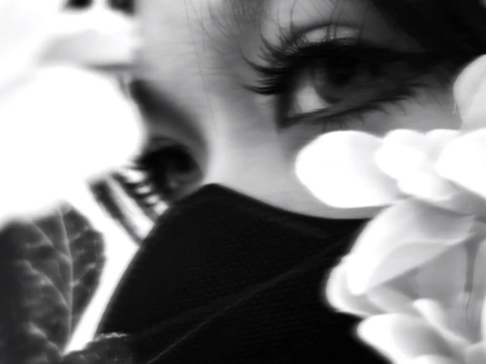 _____Panda_____ Offline XXX Chat