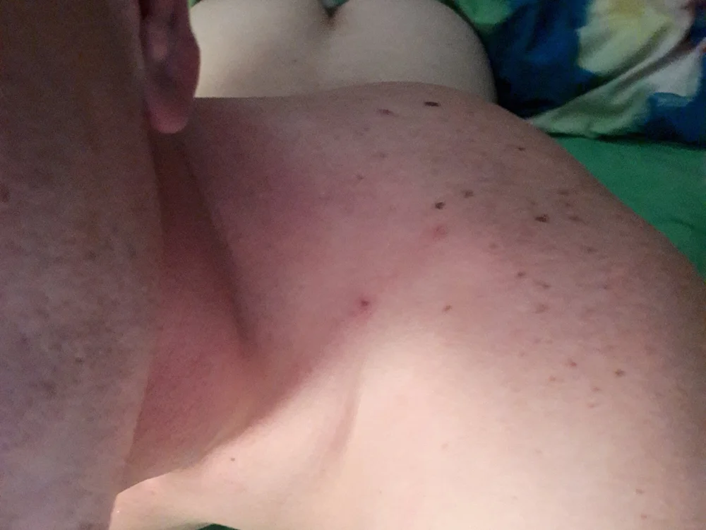 97polish offline XXX-chat