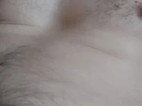 Модель waxlordmmm