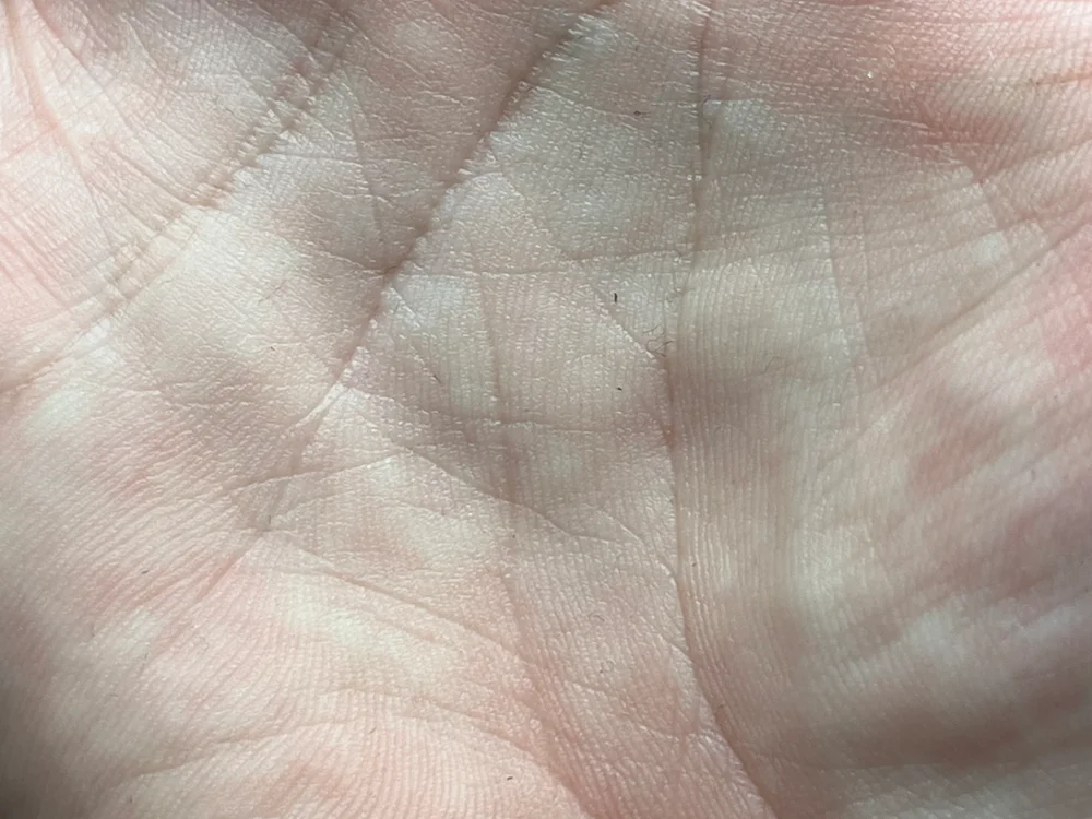 femboylovecd Offline XXX Chat