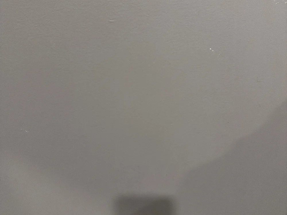 foto de portada de stevenleon69