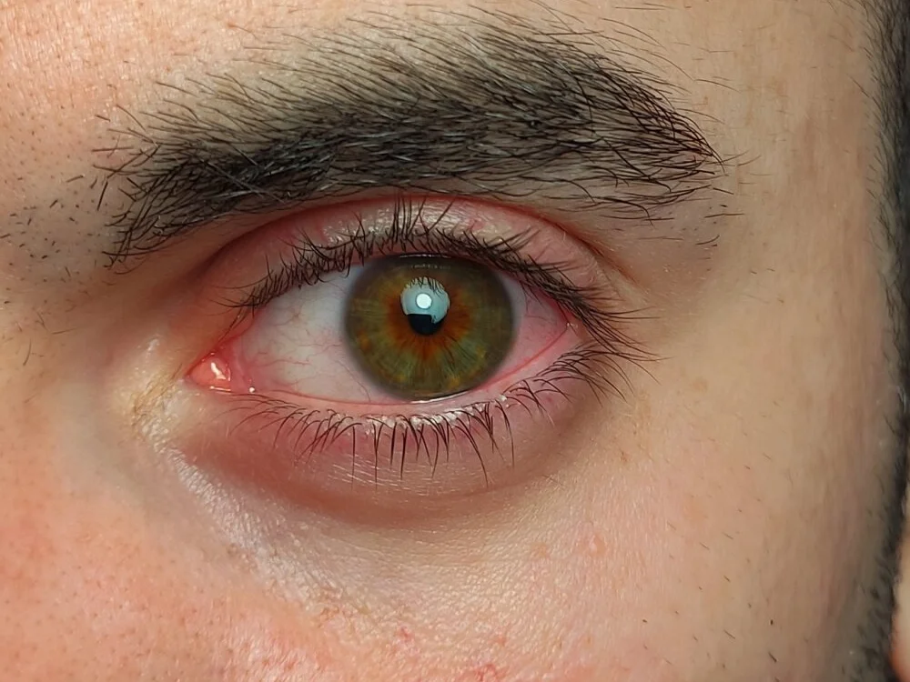 Stewie1995 offline XXX-chatje