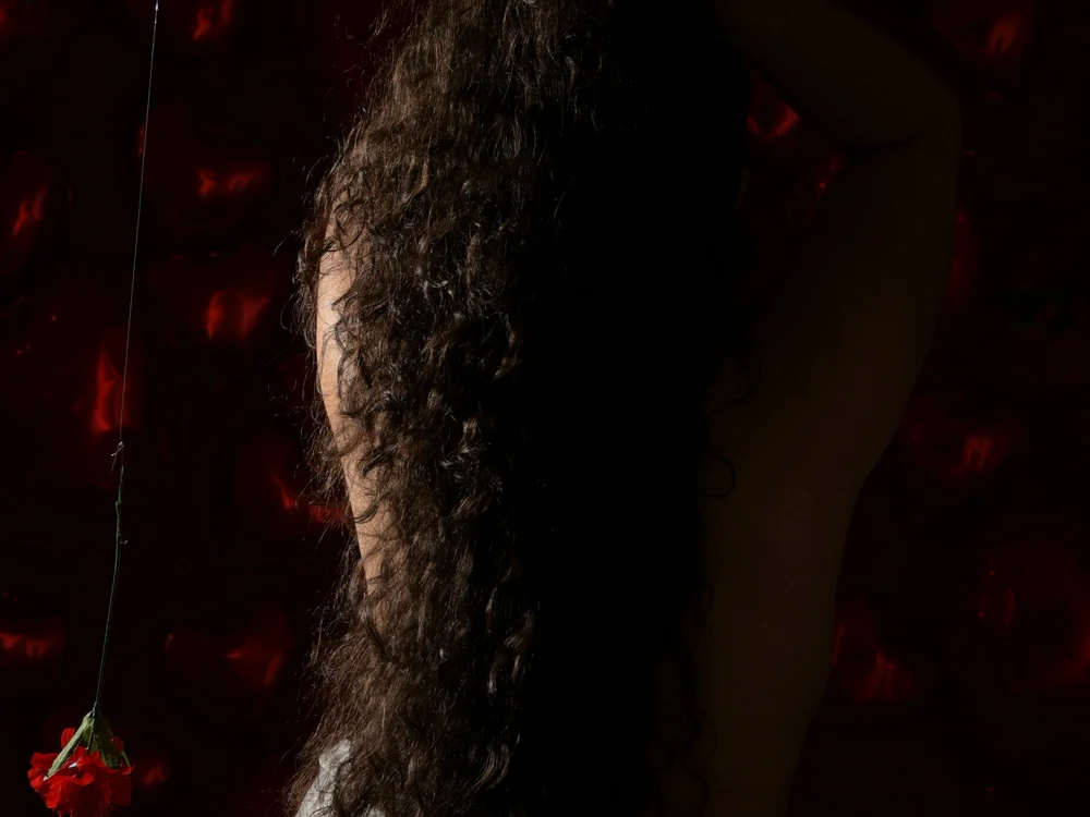 foto de portada de velarynox