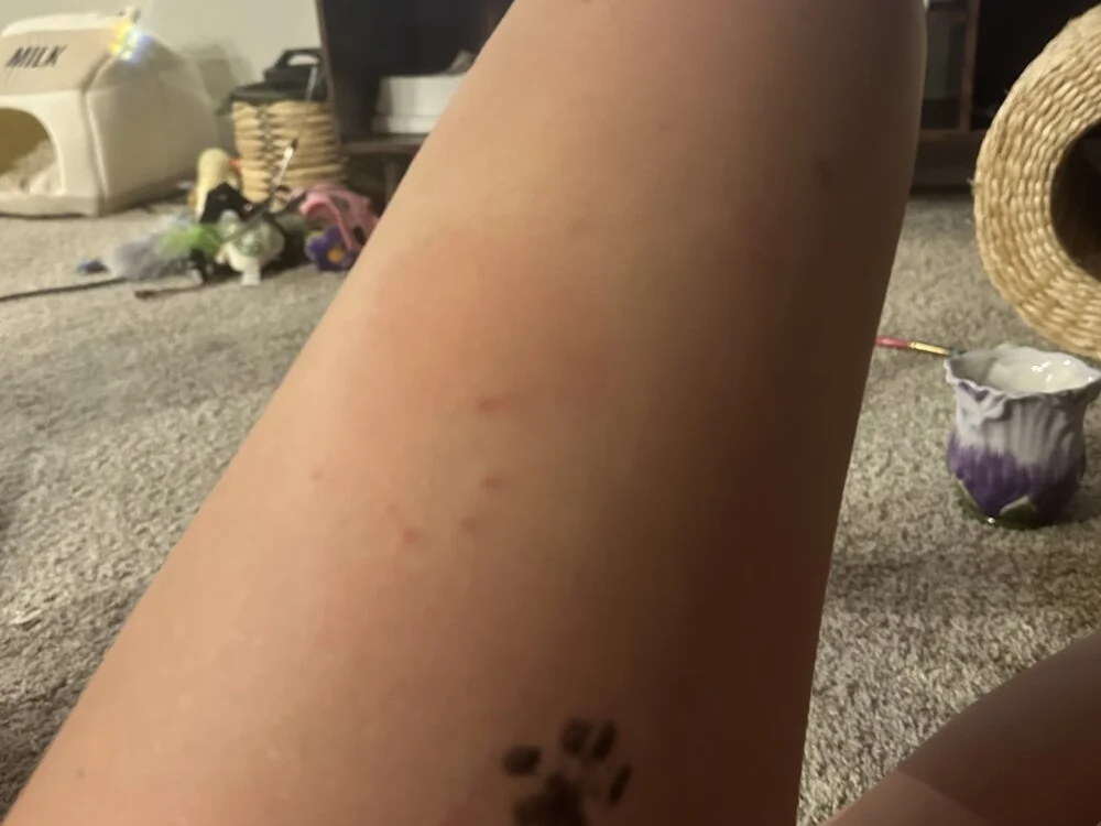 Chat +18 off-line de missygirlhi