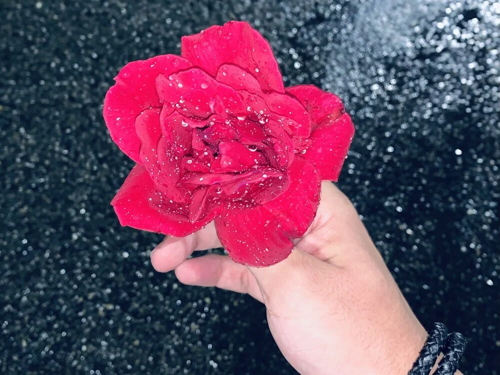 Lucky_boys__X 오프라인 XXX 채팅