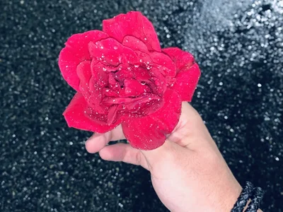 Lucky_boys__X profile