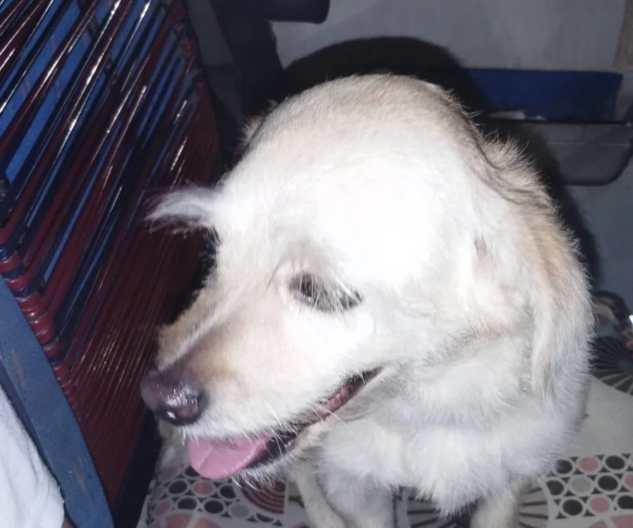 Ger0nim05 Offline XXX Chat