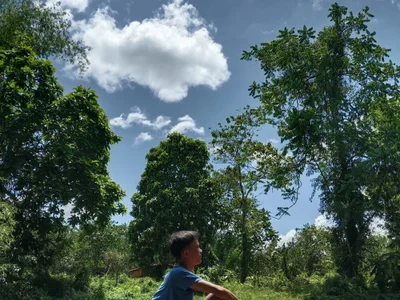 Innocentfucker profile