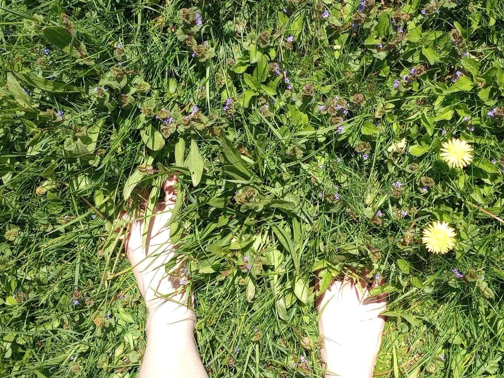 ChaosVictoria's Offline XXX Chat