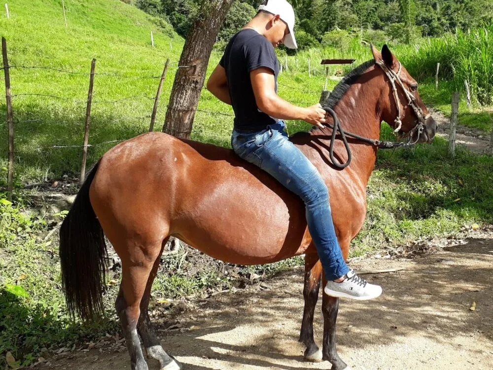 NovaSpice_nom 离线XXX聊天