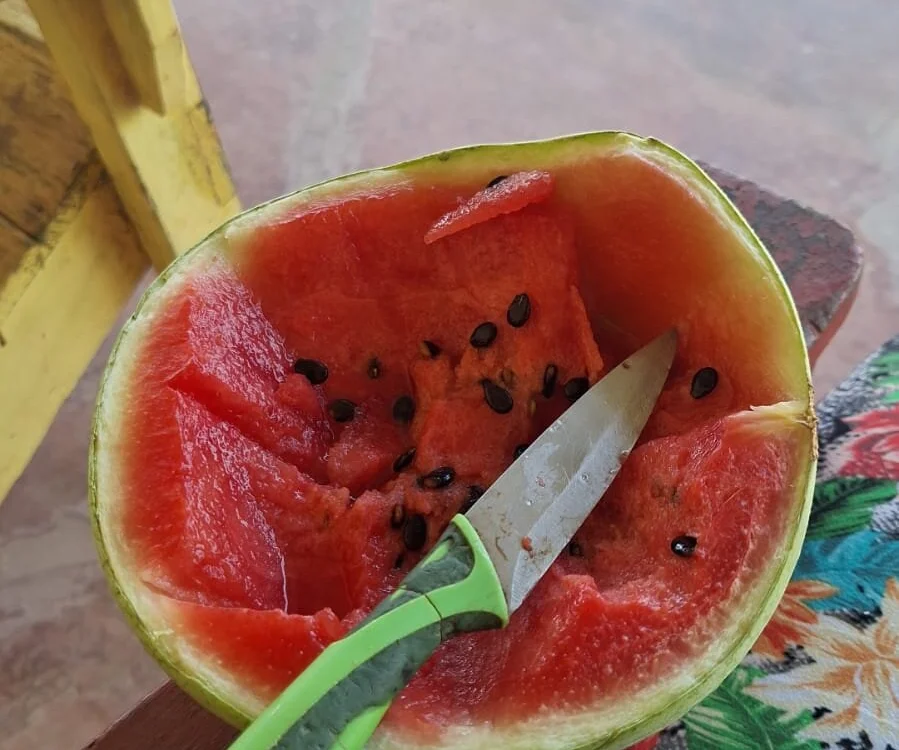 Chat XXX offline de andriuzzhot