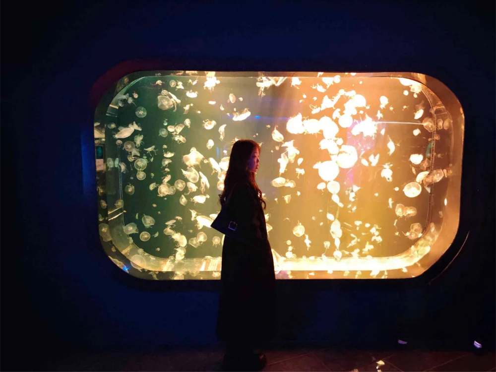 Offline XXX chat modela valkirii