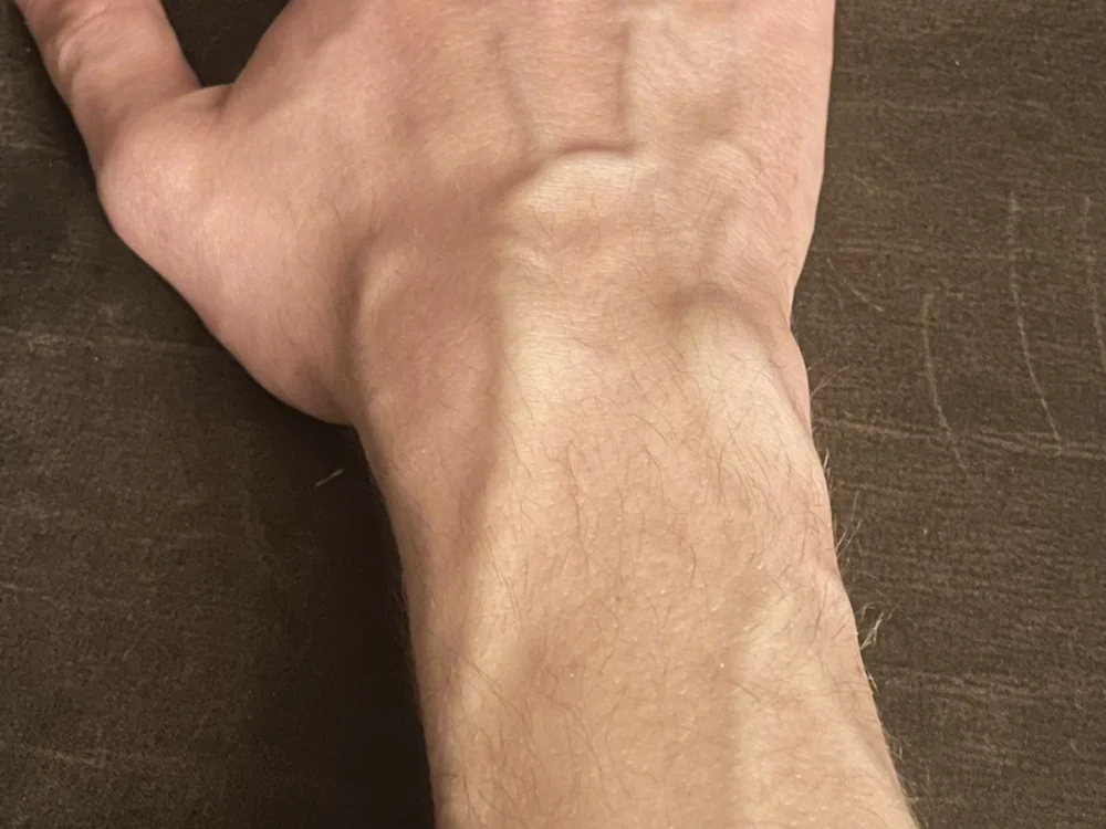 Seidh69 Offline XXX-Chat