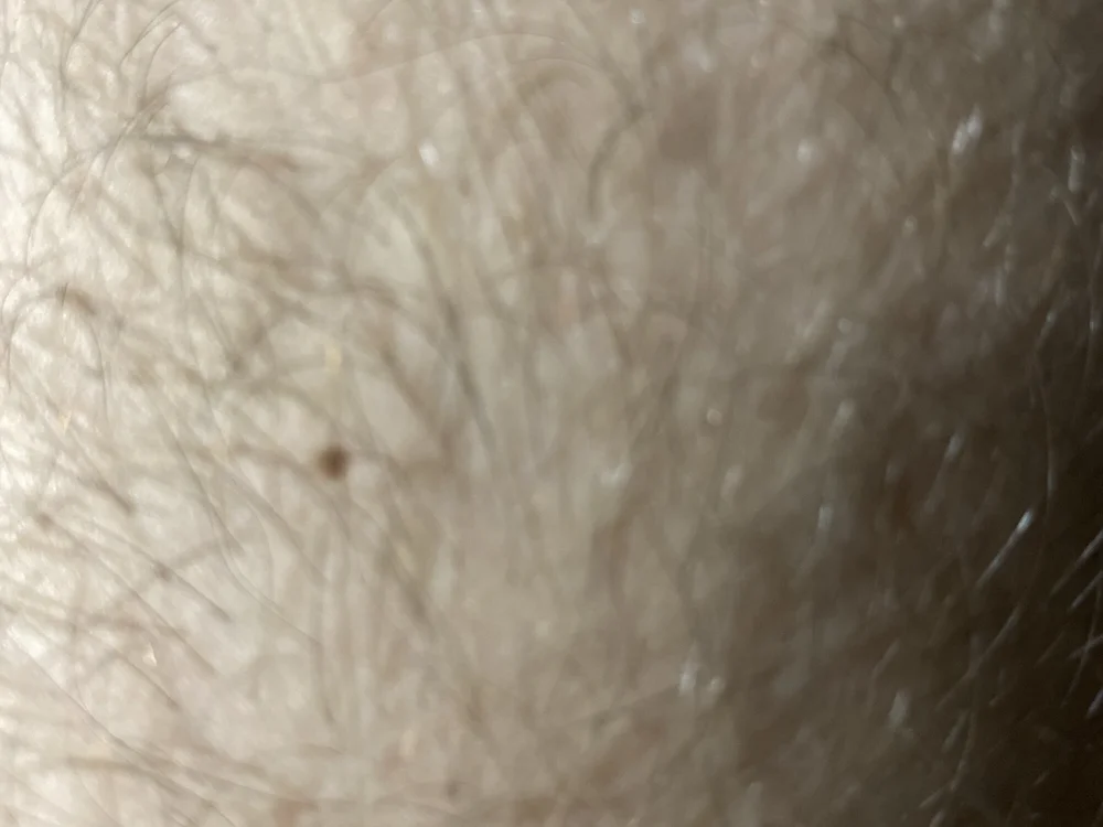 UknnnnXのオフラインXXXチャット