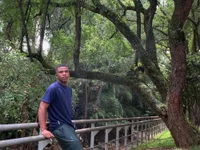 Модель DEMOND_333