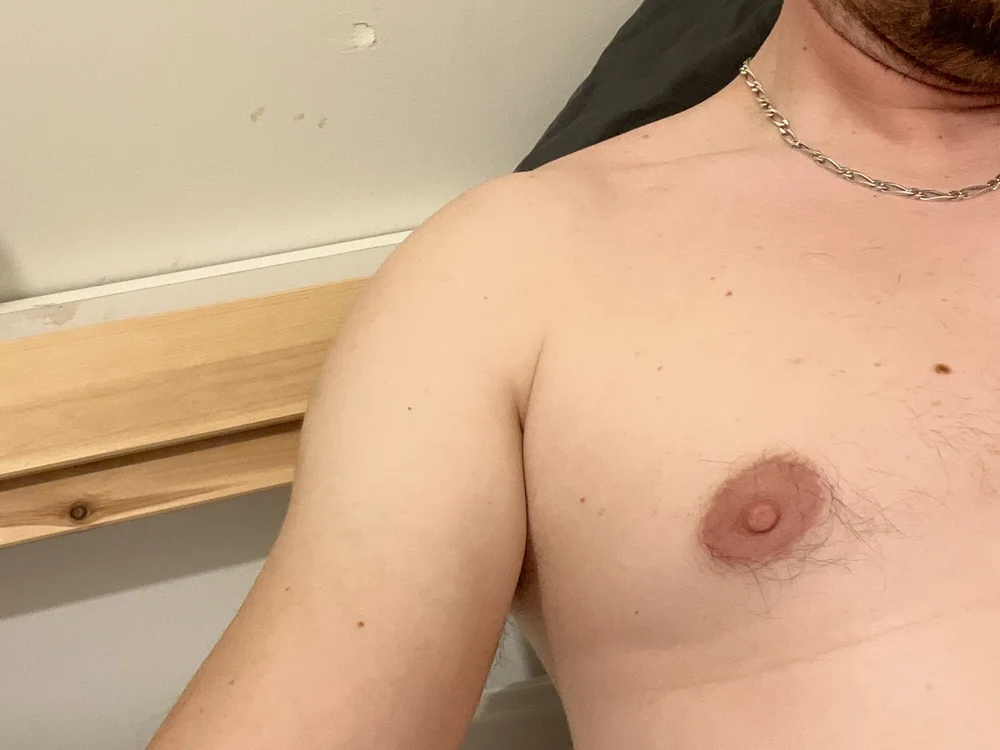 lebsexe offline chatrum