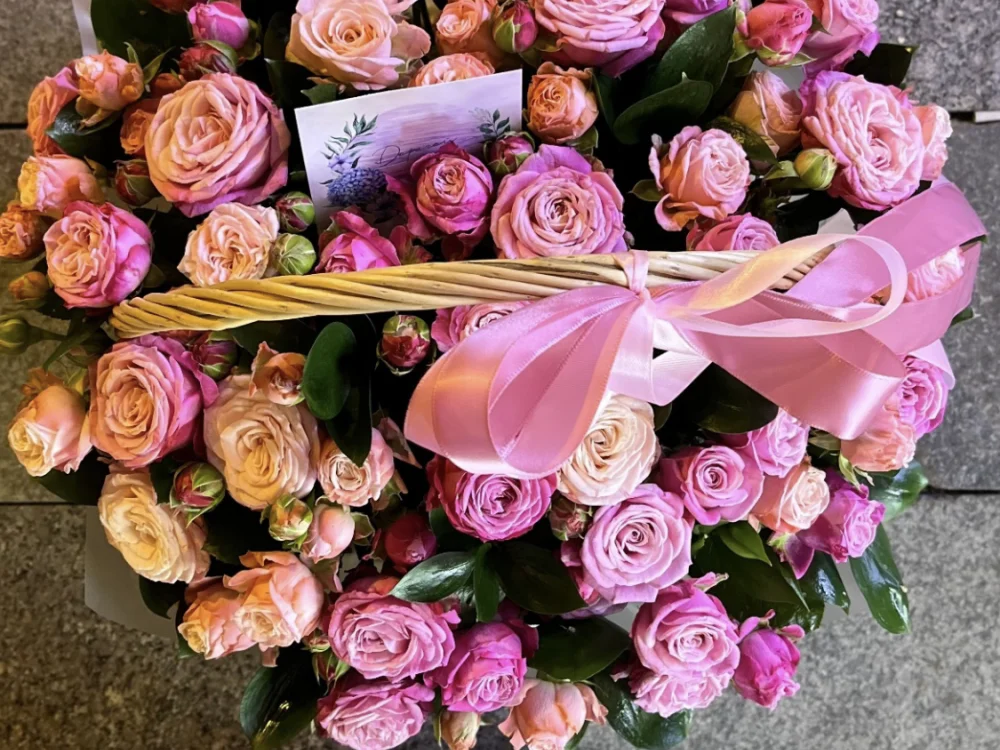 ShyPampBlondie's Offline XXX Chat