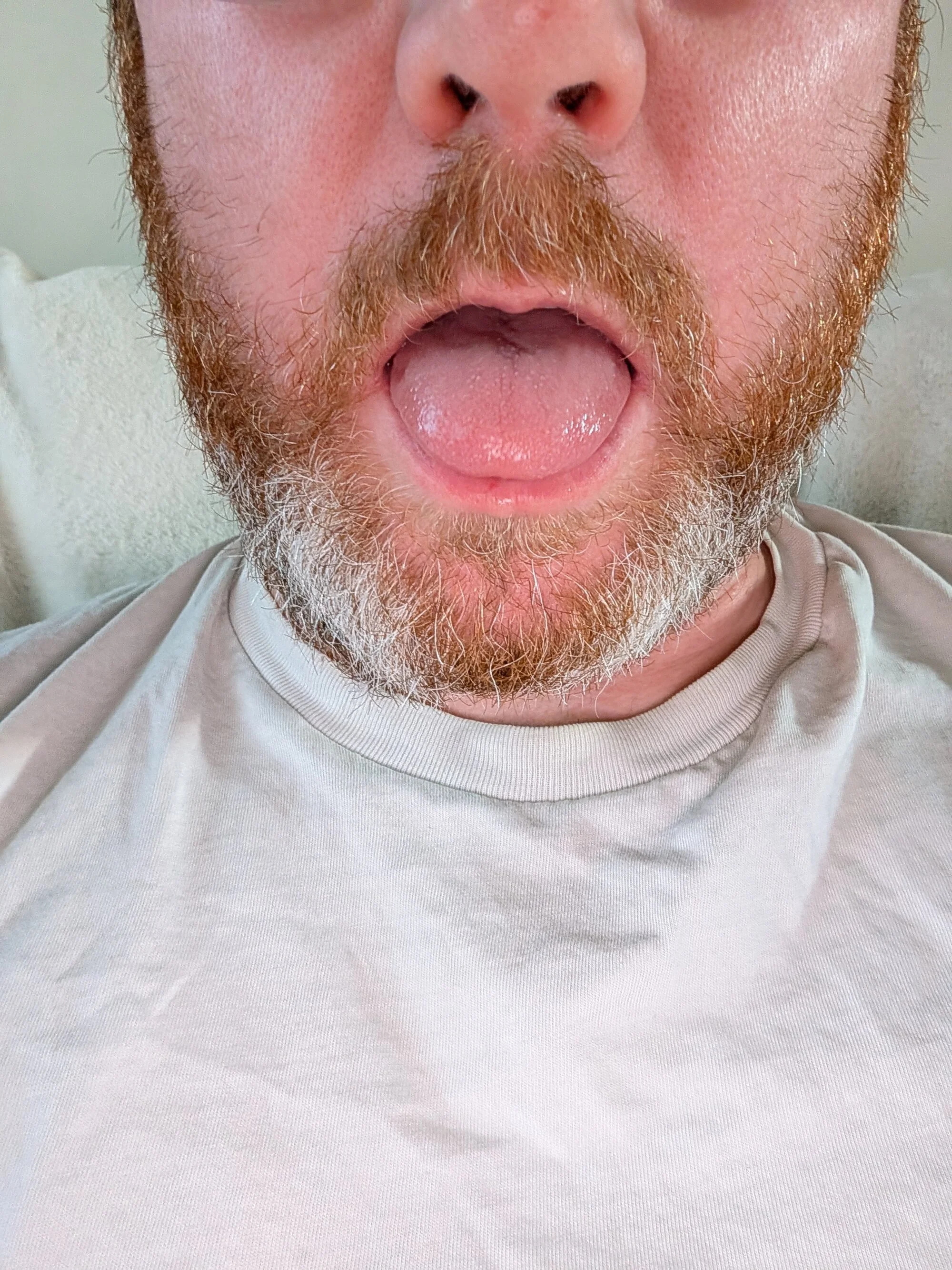UkMrBig live webcam