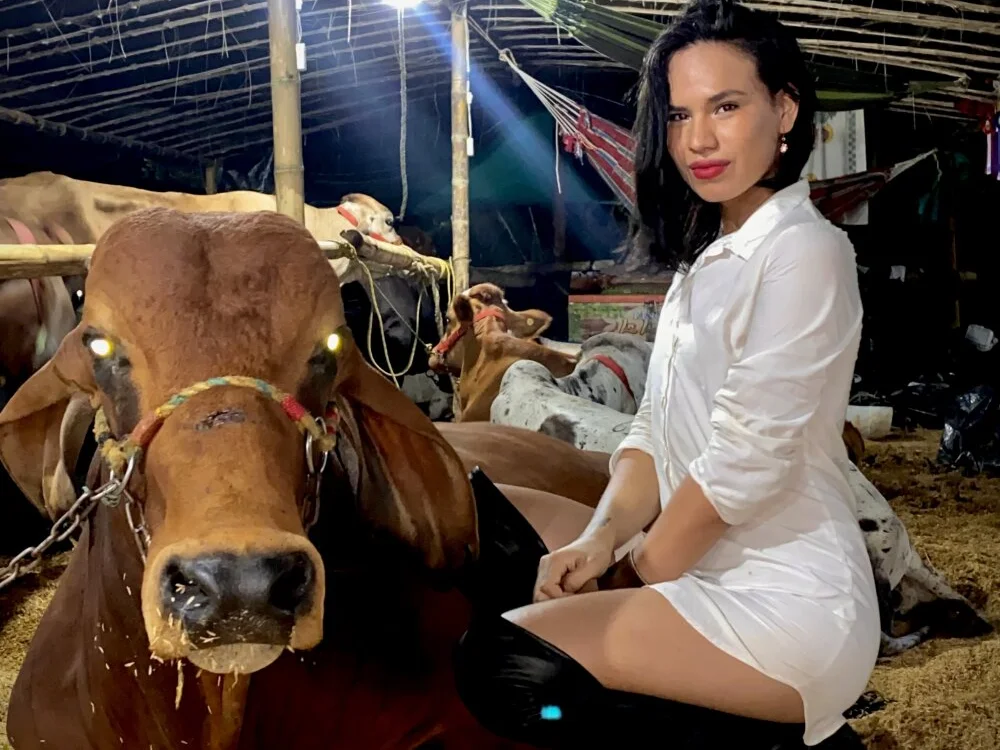 hot-goddess' Offline XXX Chat