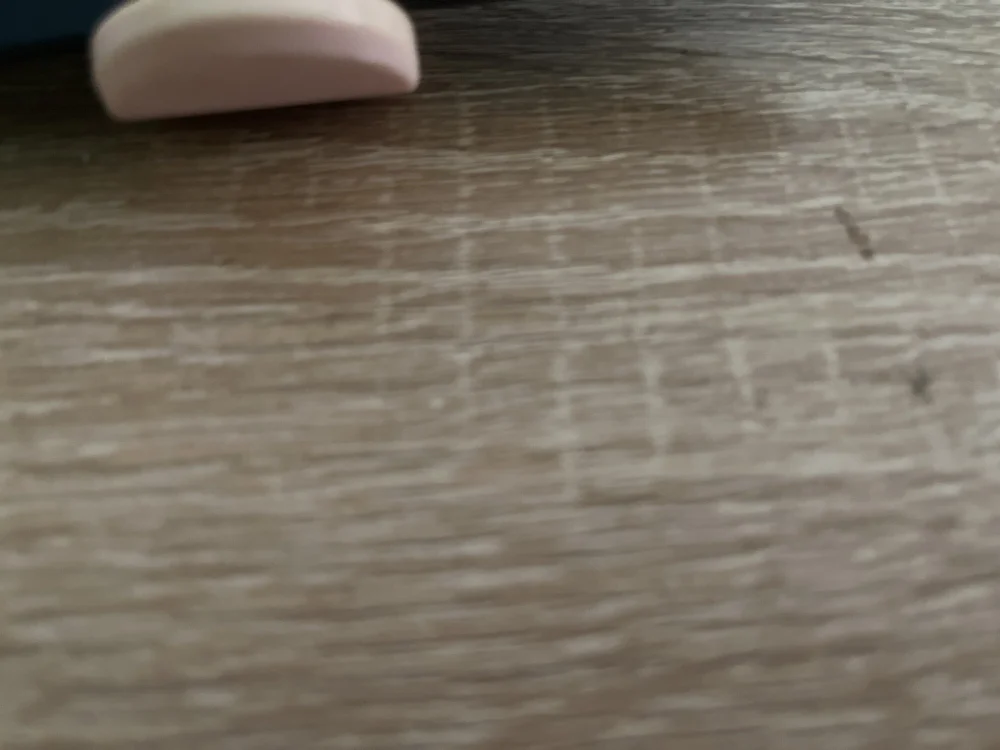 cover photo of Bluestcoraline