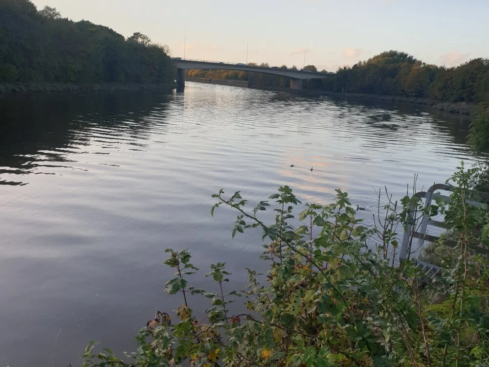 Chubbydan 離線 XXX 聊天