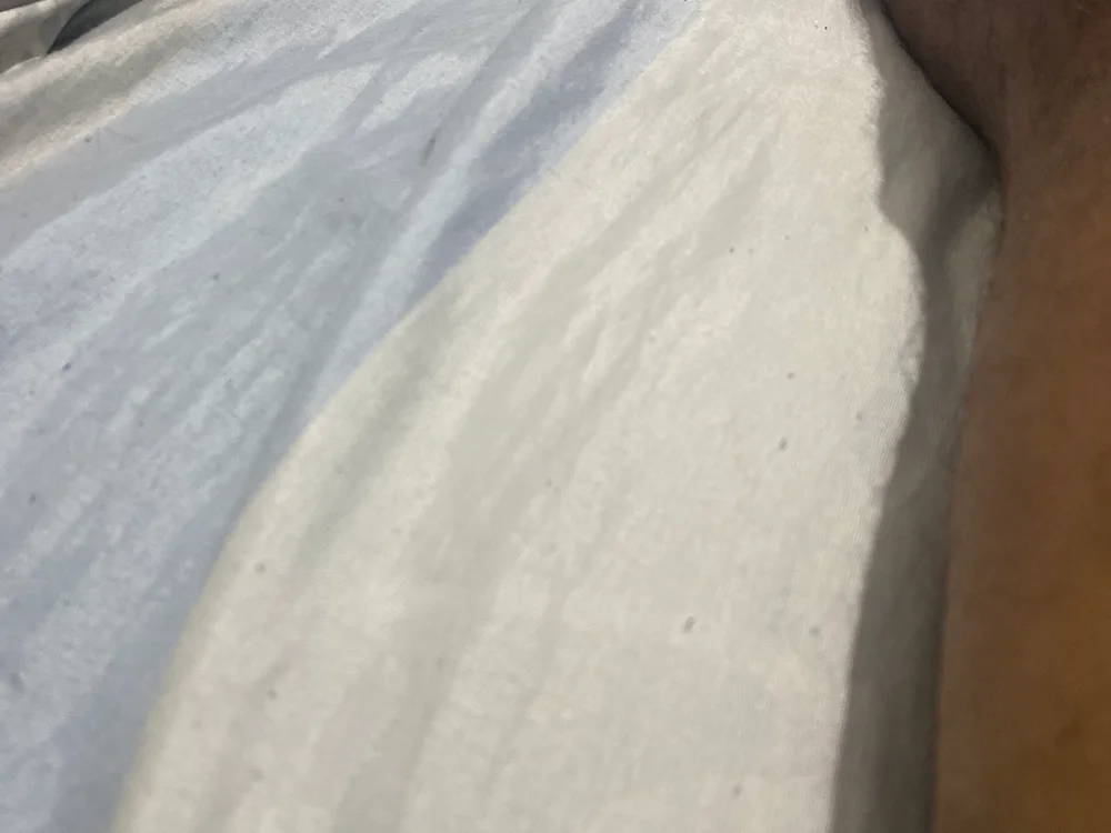 Chat XXX offline de luazin